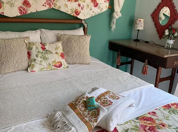 Cactus * 프리노스